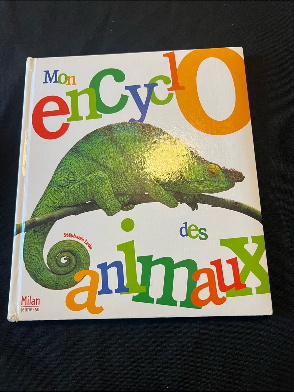 Mon Encyclo Des Animaux French Children's Book - Milan Jeunesse Hardback
